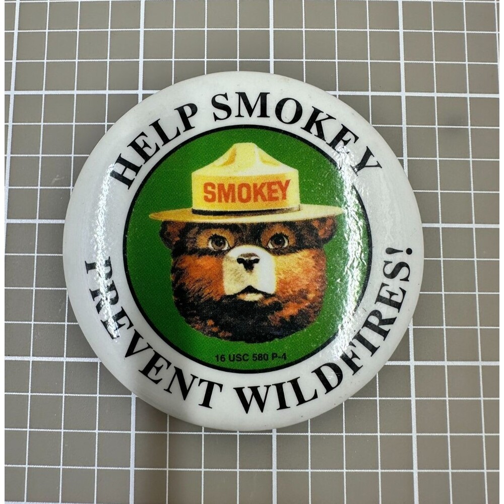 Vintage 1970s Smokey Bear Pin Button Help Prevent‎ Wildfires Forest Badge